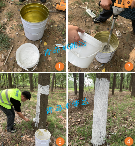 圖片1.png 圖片1.png